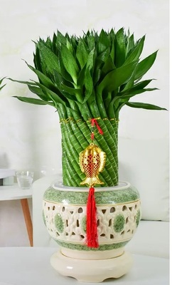 节节高-风生水起（大）