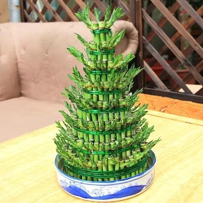 节节高-步步高升（大8层）