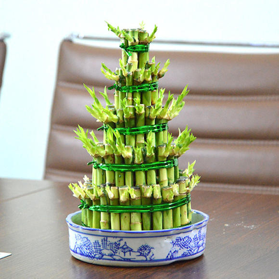 富贵塔（小5层）