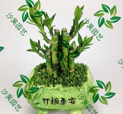 节节高